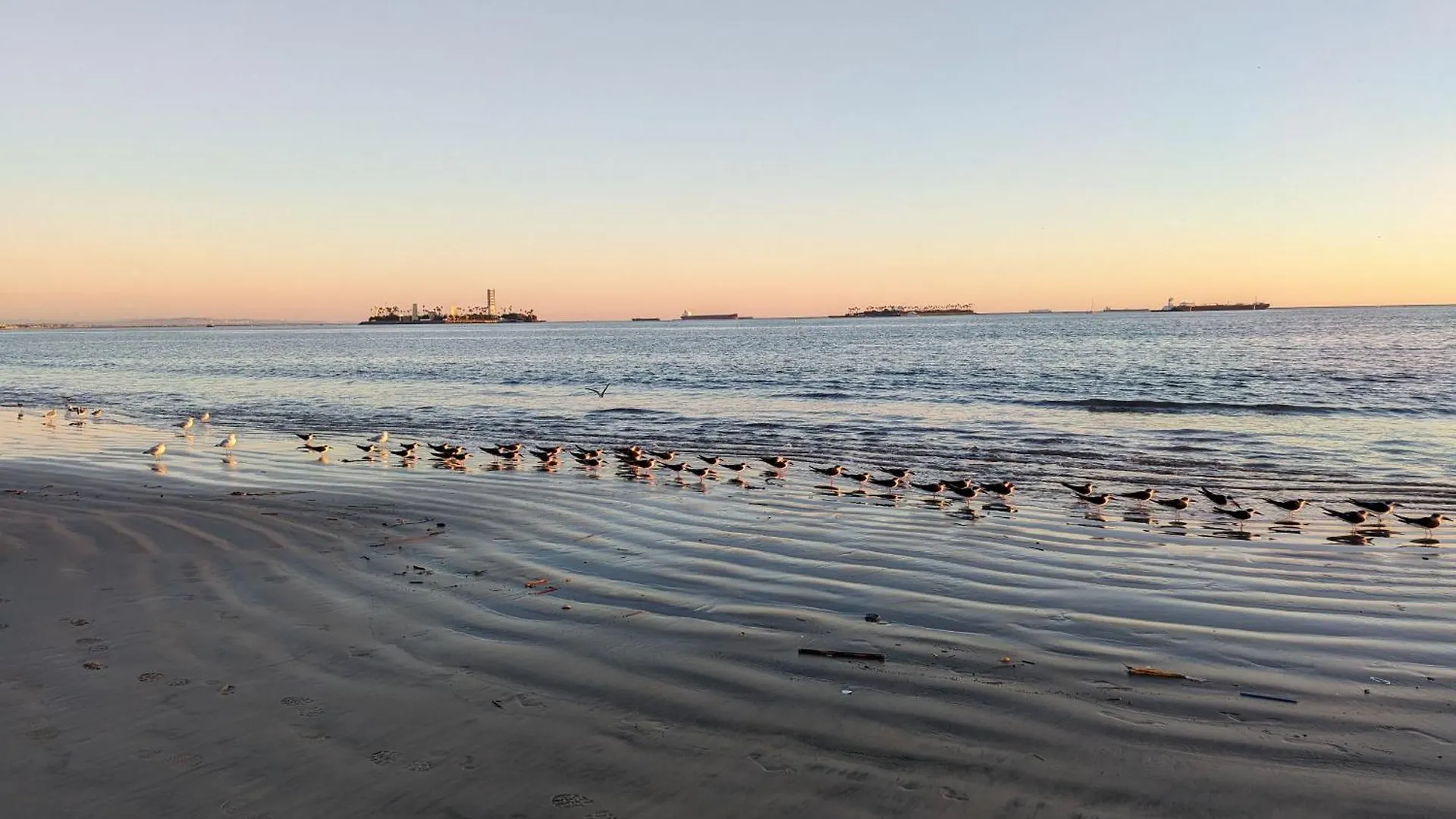 Boho 1-Bedroom Beach Condo With Mid Size Parking & Laundry Long Beach United States